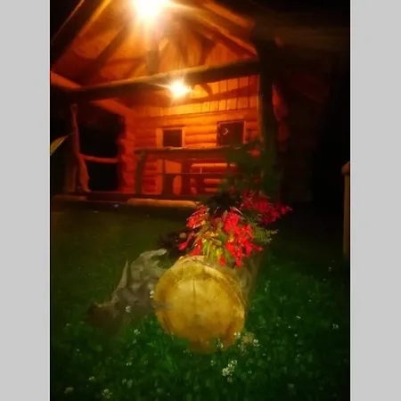 Hut At The Forest Male Brusnice