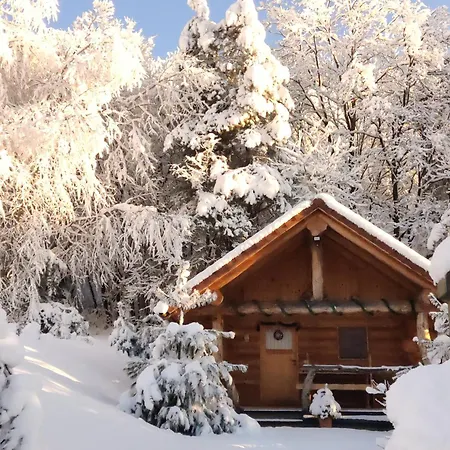 Hut At The Forest Male Brusnice