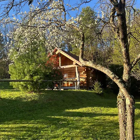Holiday home Hut At The Forest Male Brusnice