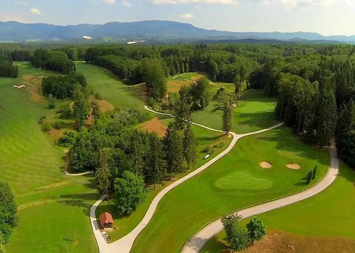 Tatil Evi Hut At The Forest