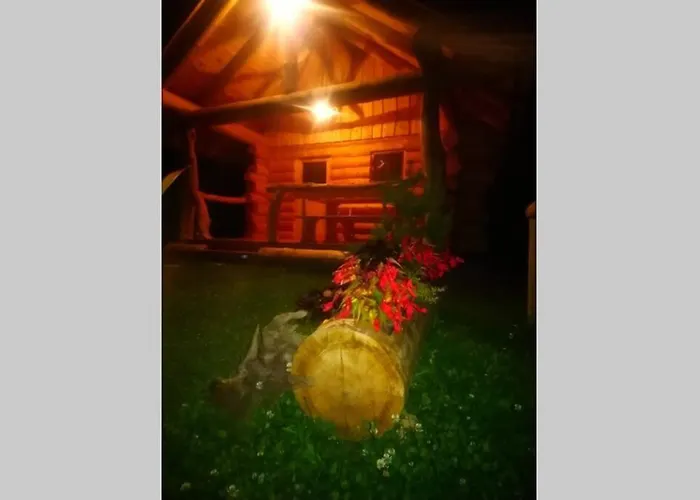 Hut At The Forest Male Brusnice