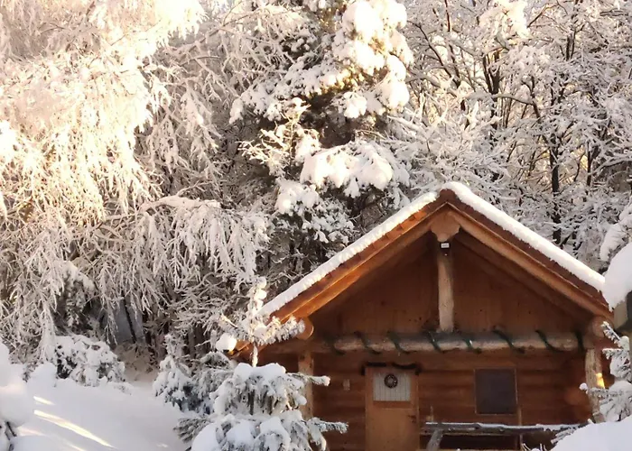 Hut At The Forest Male Brusnice