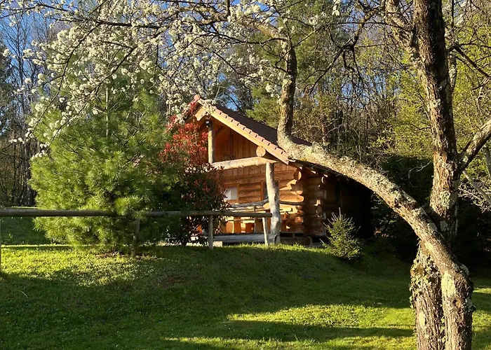 Tatil Evi Hut At The Forest Male Brusnice